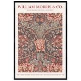 Thumbnail von Poster mit Rahmen - William Morris - Honeysuckle Pattern 