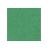 Variante Bright Green von 1,4 mm WhiteCore Passepartout als Maßanfertigung