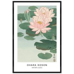Poster mit Rahmen - Ohara Koson - Water Lilies