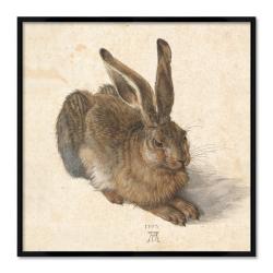 Poster mit Rahmen - Albrecht Dürer - Feldhase (Young Hare)