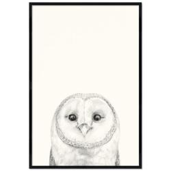 Animal Heads No. 3 - Barn Owl