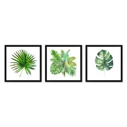 Poster-Set Palms Botanics (inkl. Poster & Bilderrahmen)