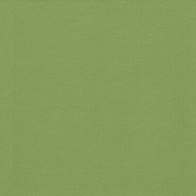 1,6 mm WhiteCore Passepartout mit individuellem Ausschnitt Maigrün