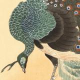 Thumbnail von Poster mit Rahmen - Ohara Koson - Peacock in Cherry Tree Bild 3