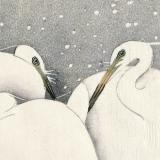 Thumbnail von Poster mit Rahmen - Ohara Koson - Egrets in the Snow Bild 3
