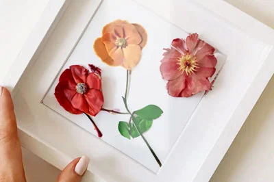Getrocknete Blumen in Objektrahmen